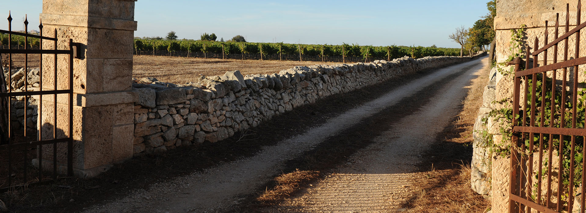 Cantina dei Fragni / Azienda Agricola Masseria Procida