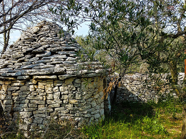 Cantina dei Fragni / Azienda Agricola Masseria Procida