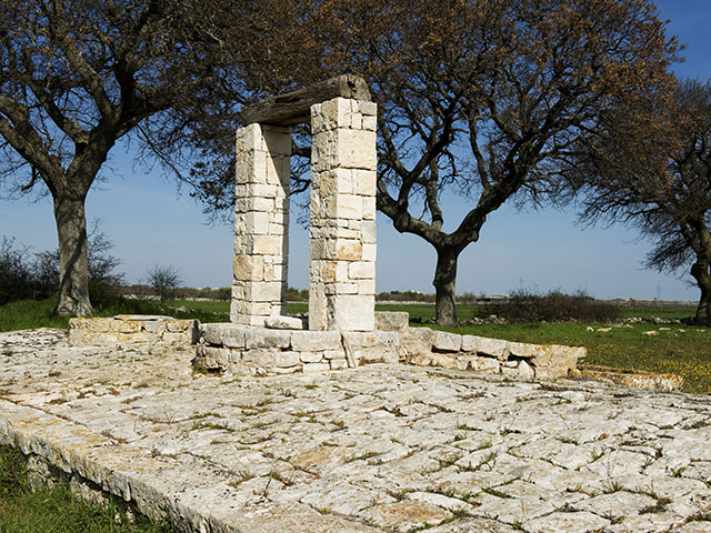 Cantina dei Fragni / Azienda Agricola Masseria Procida