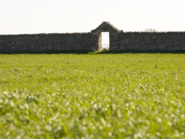 Cantina dei Fragni / Azienda Agricola Masseria Procida